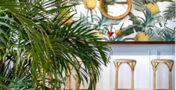 Créer un style déco JUNGLE dans vos bureaux professionnels