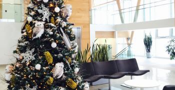 Faîtes entrer la magie de Noël au bureau avec une décoration réussie