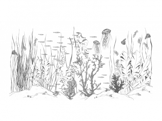 Papier peint Underwater