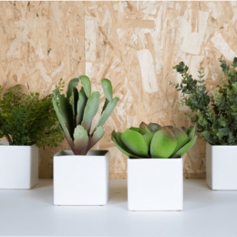 Lot de 4 plantes pots carrés blancs